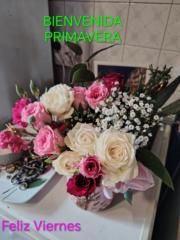 Silvia Lourdes Fogolin