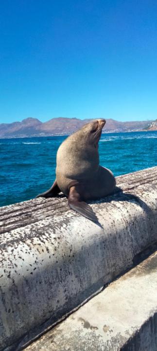 Love Diamond Painting