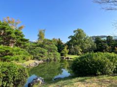 結香 佐山