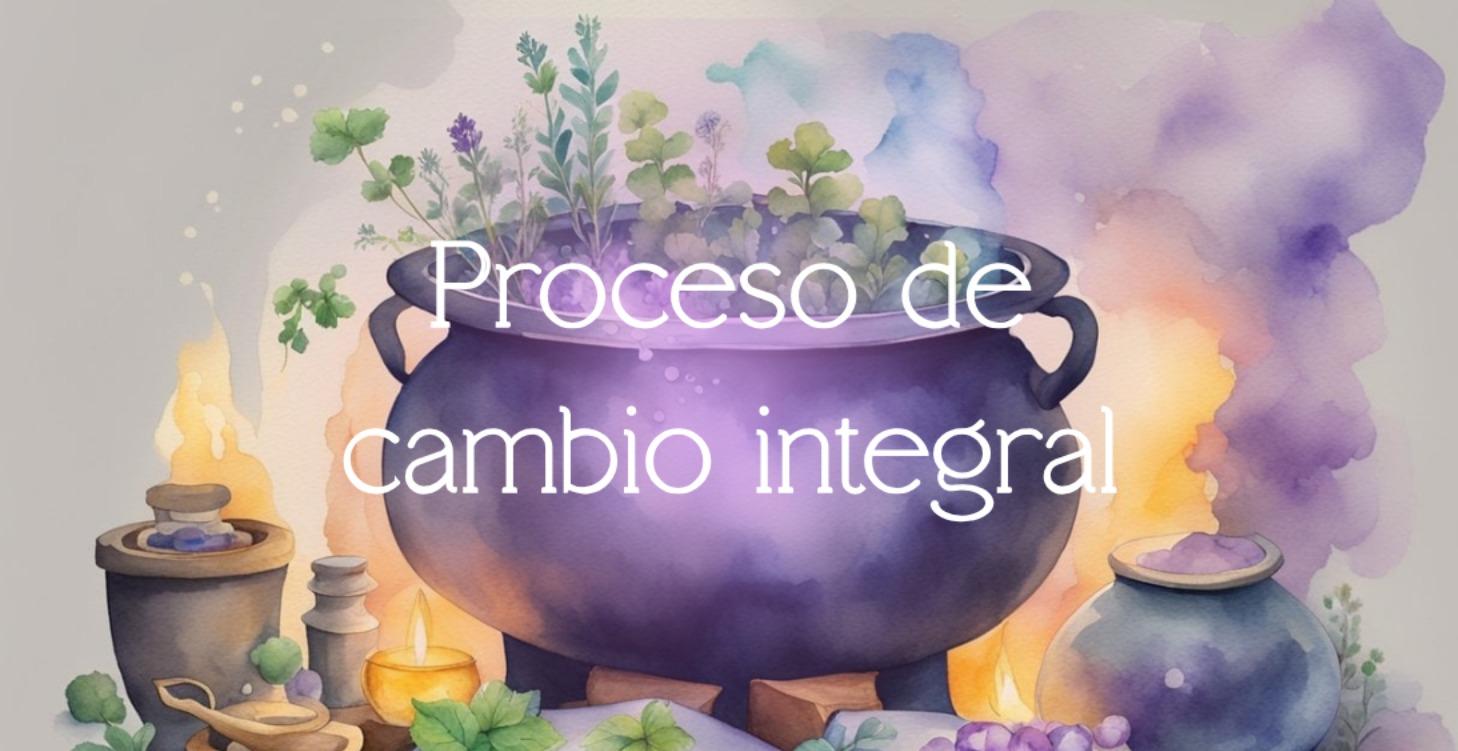 Proceso de cambio integral