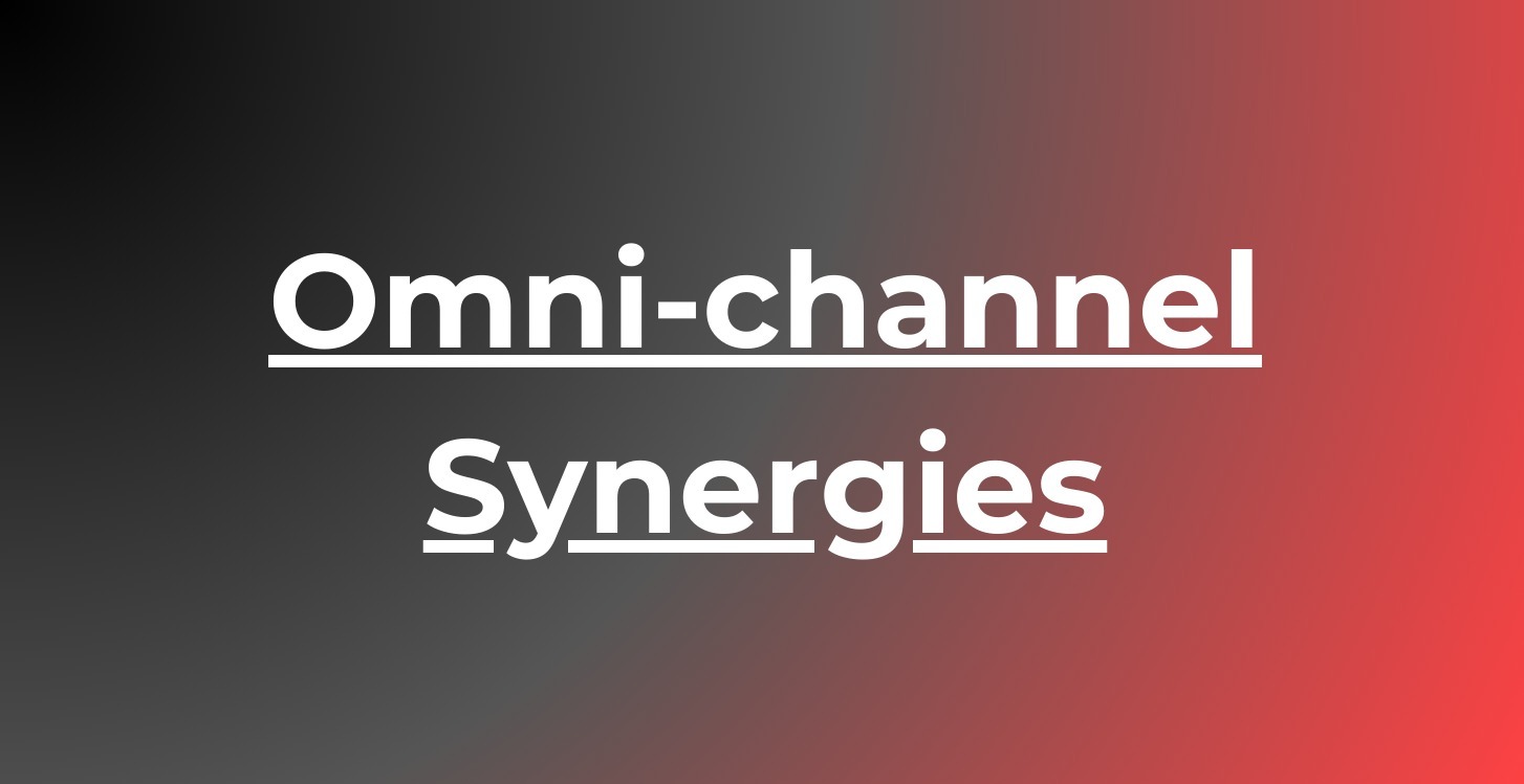 Pillar 5: Omni-channel Synergies