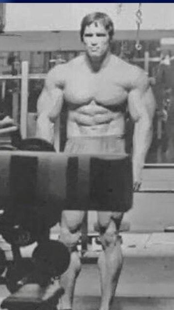 Barrett Sears