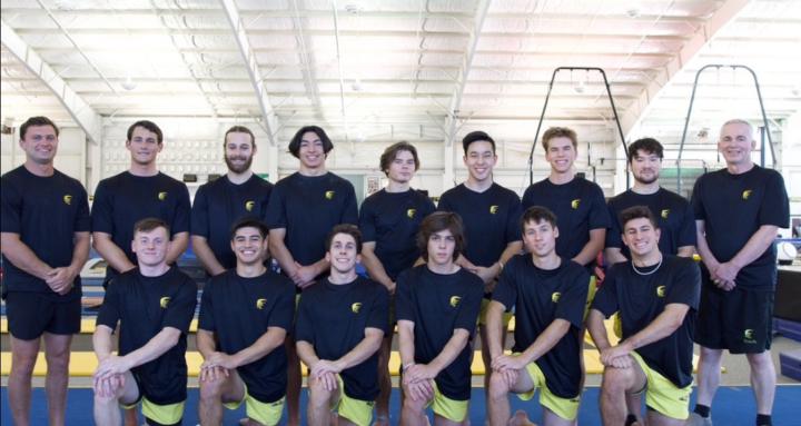 Adult Gymnastics/Calisthenics