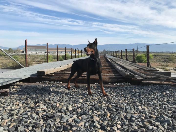 Sebastián Centeno Ortega