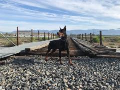 Sebastián Centeno Ortega