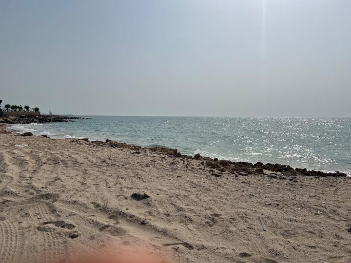 Mohamedelfatih Seedahmed