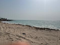 Mohamedelfatih Seedahmed