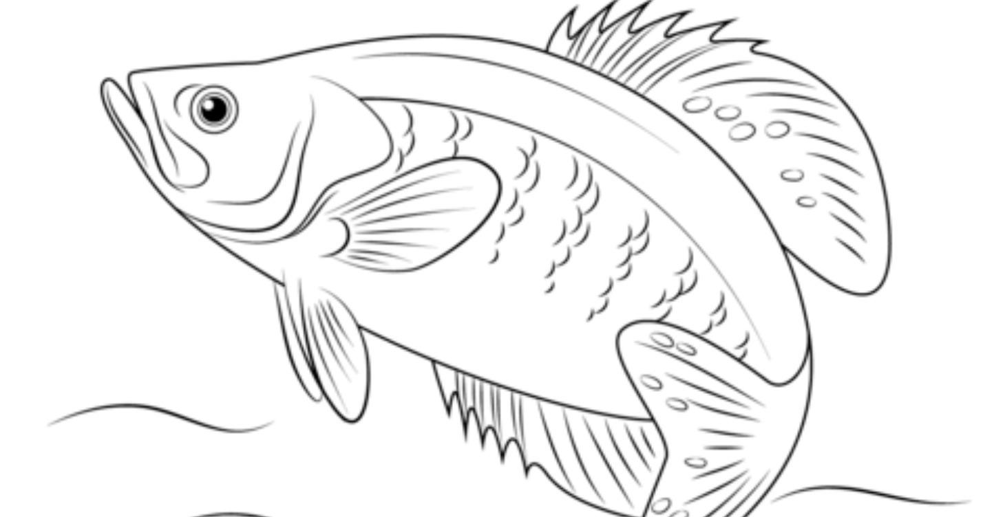 Getting started with crappie jig tying.