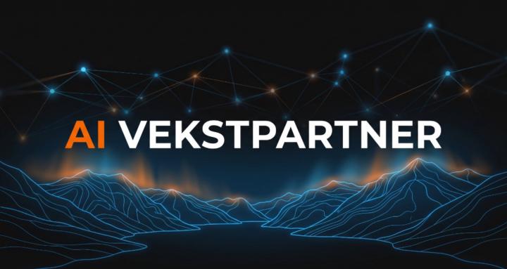 AI Vekstpartner