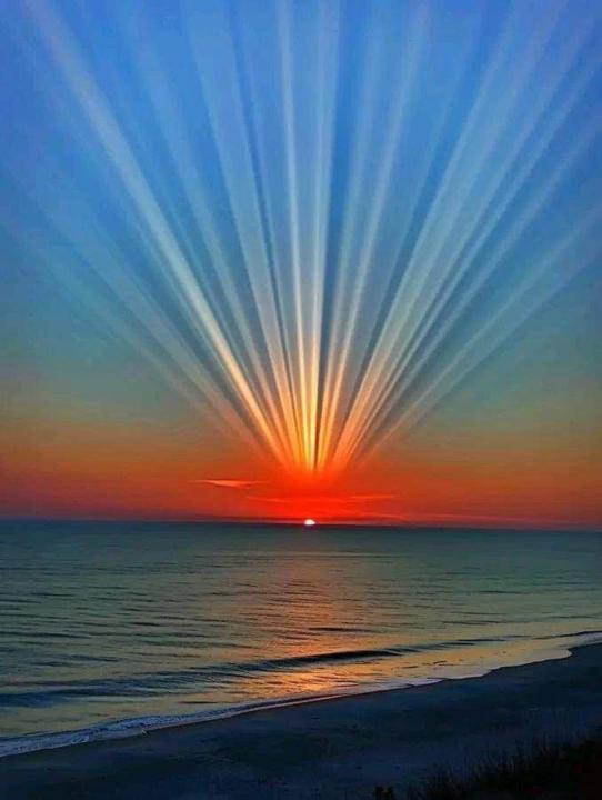 Good Night 🌙 Soul🌟💫🌟✨