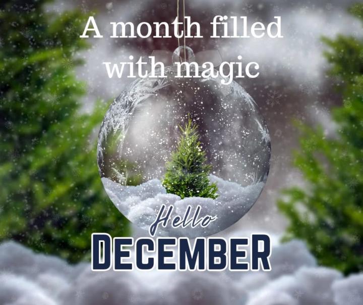 🌟💫❄️💵🌟💫