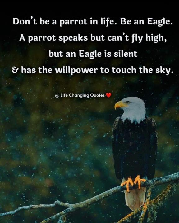 🌟🌞💫🌟🌞💫