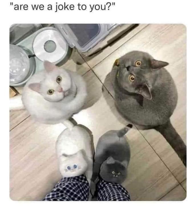 Laughter The Best Rx 