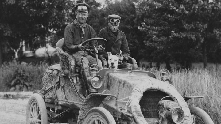 For Luna and All of Us.. DOG named Bud Joins