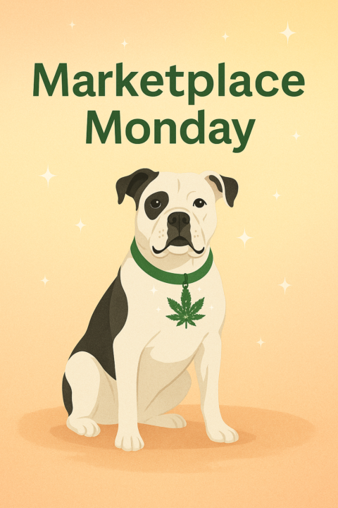 📌✂️📥📆📤📆📎