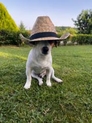 Десислава Бонева