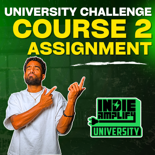 WEEK 2 CHALLENGE: DIRECT TO CONSUMER