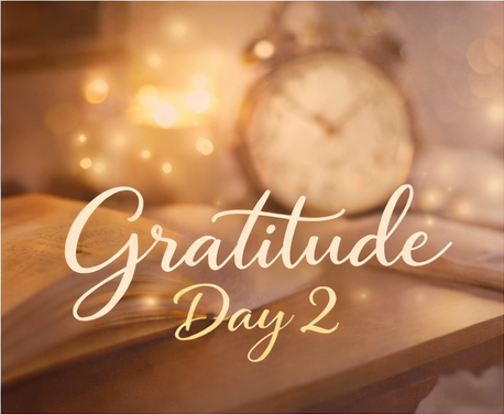 Day 2 ...gratitude