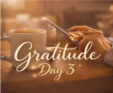 Day 3....Gratitude