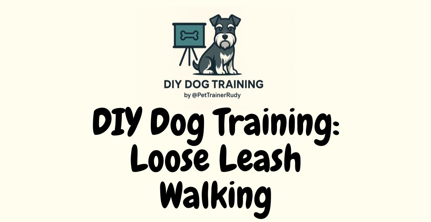 DIY Dog Training:4 Week Loose Leash Walking Course