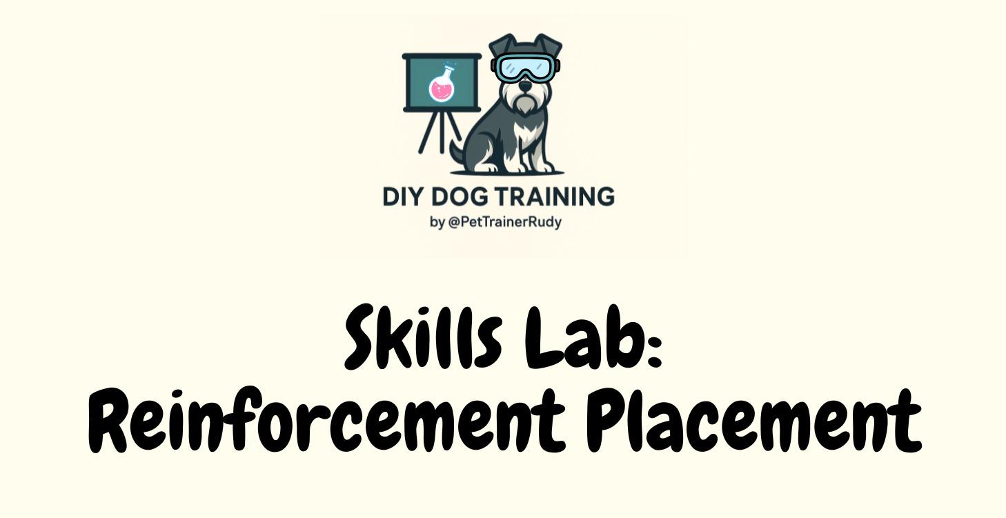 Skills Lab: Reinforcement Placement