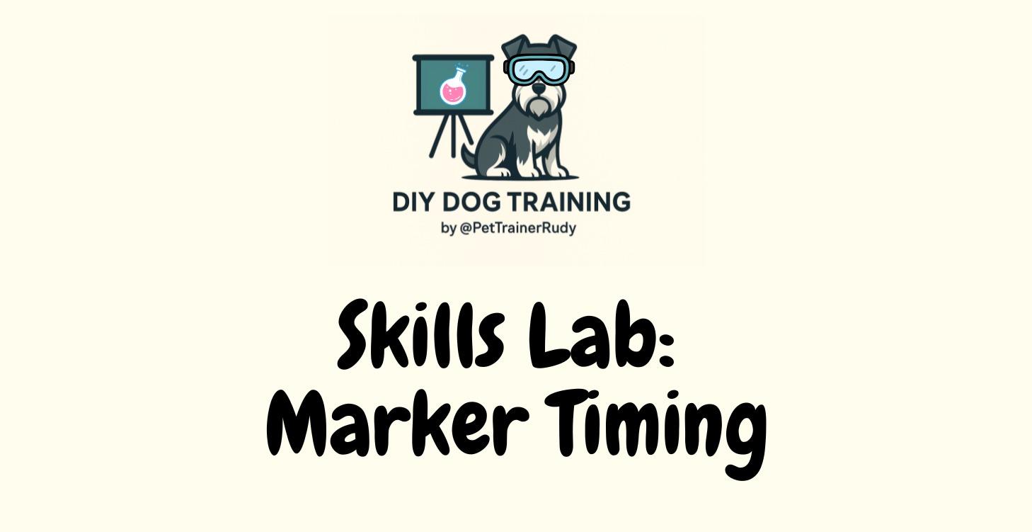 🧪 Skills Lab - Marker Timing