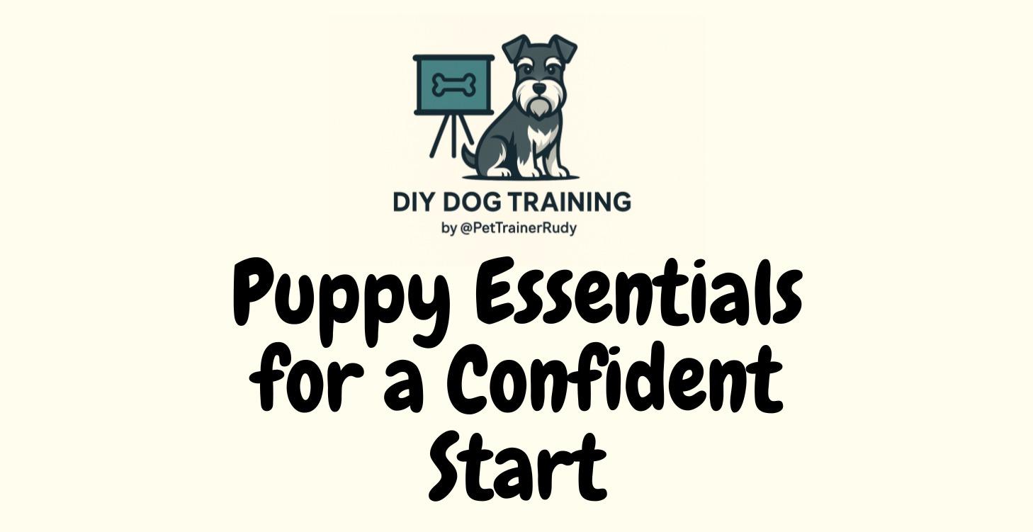 Puppy Essentials for a Confident Start