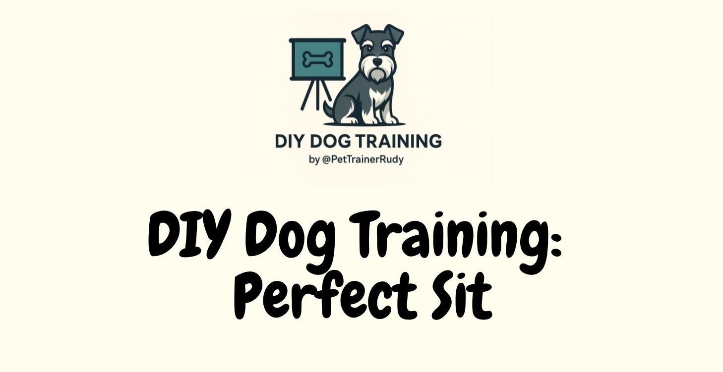 SIT: The 4-Week Training Challenge