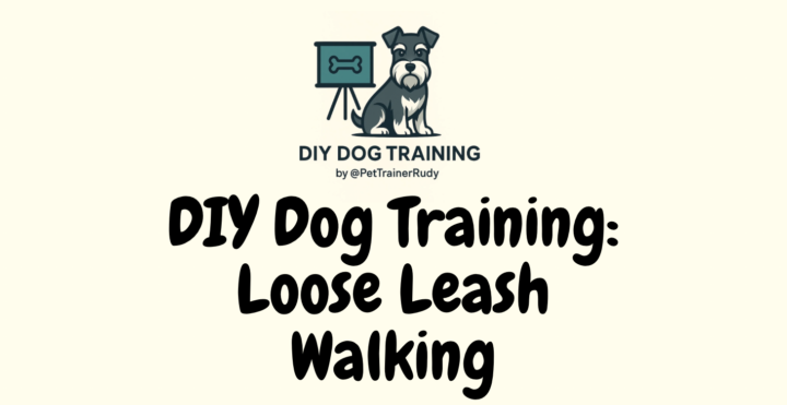 🎉 New Course Drop: Loose Leash Walking (4-Week Guided Course)