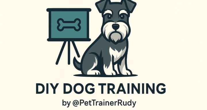 DIY Dog Training 