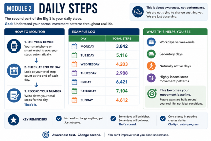 Module 2 — Daily Steps