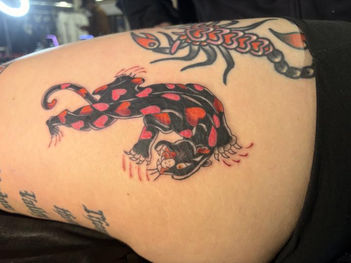 Today’s love in San diego