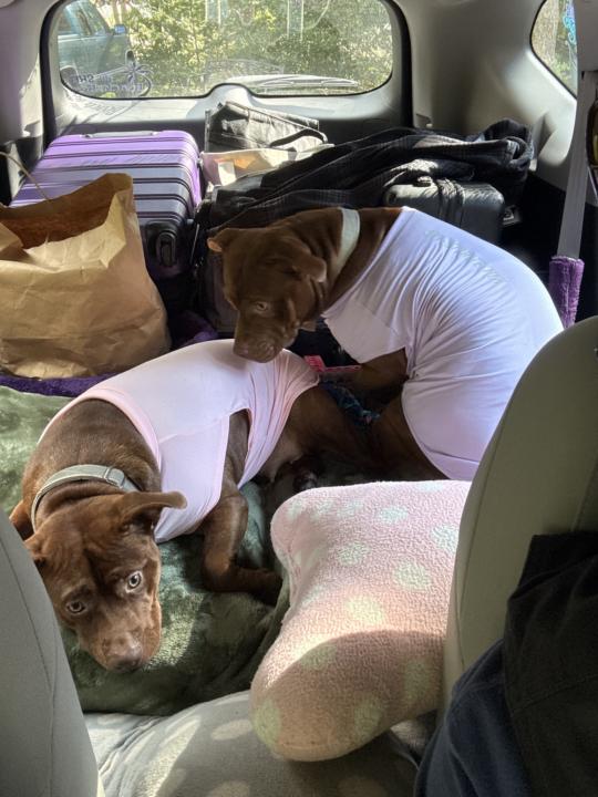 We’re ready to ride 