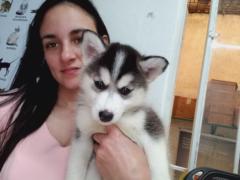 Lorena Lizarazo Alvarez