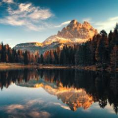 Charlotte - Aisha Darboe