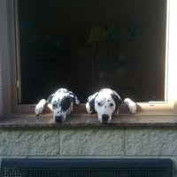 Anabel Riesgo garcia