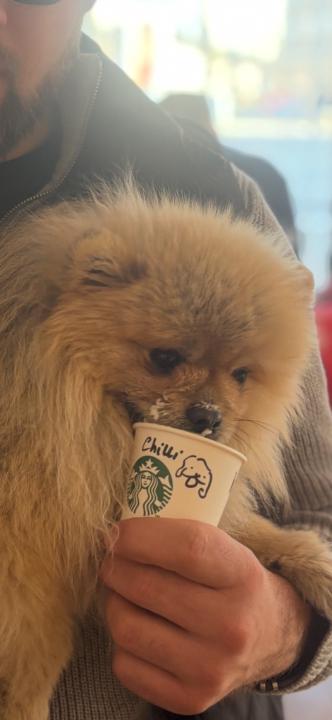 Maksymilian Wieczorkowski