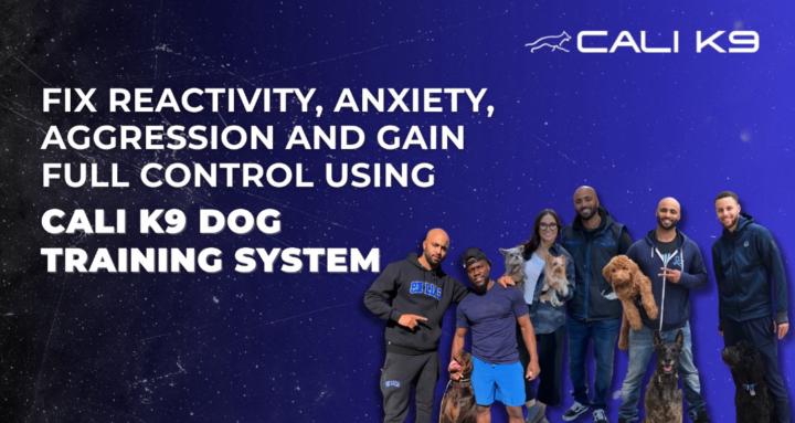 Cali K9 Dog Training 