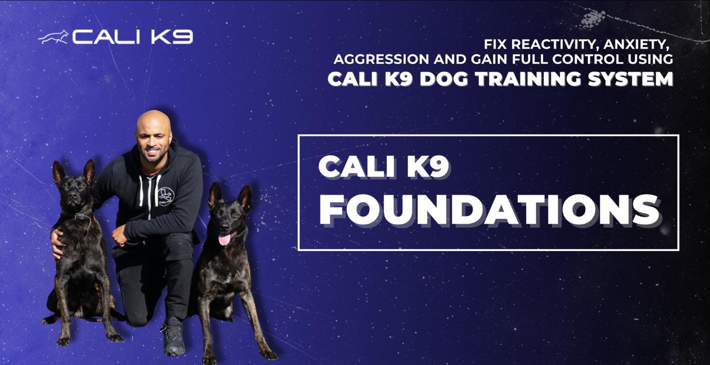 Cali K9 Foundations