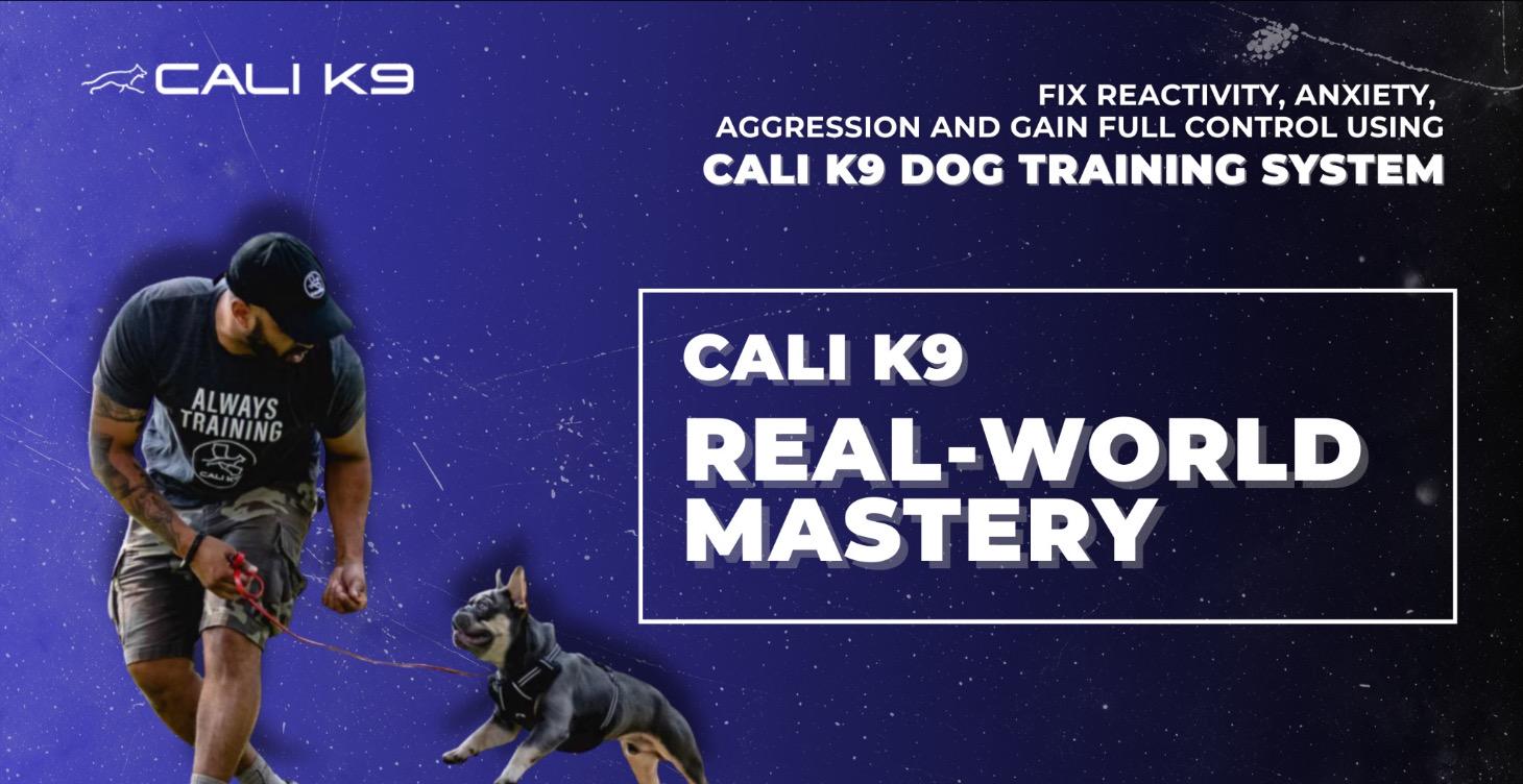 Cali K9 Real-World Mastery
