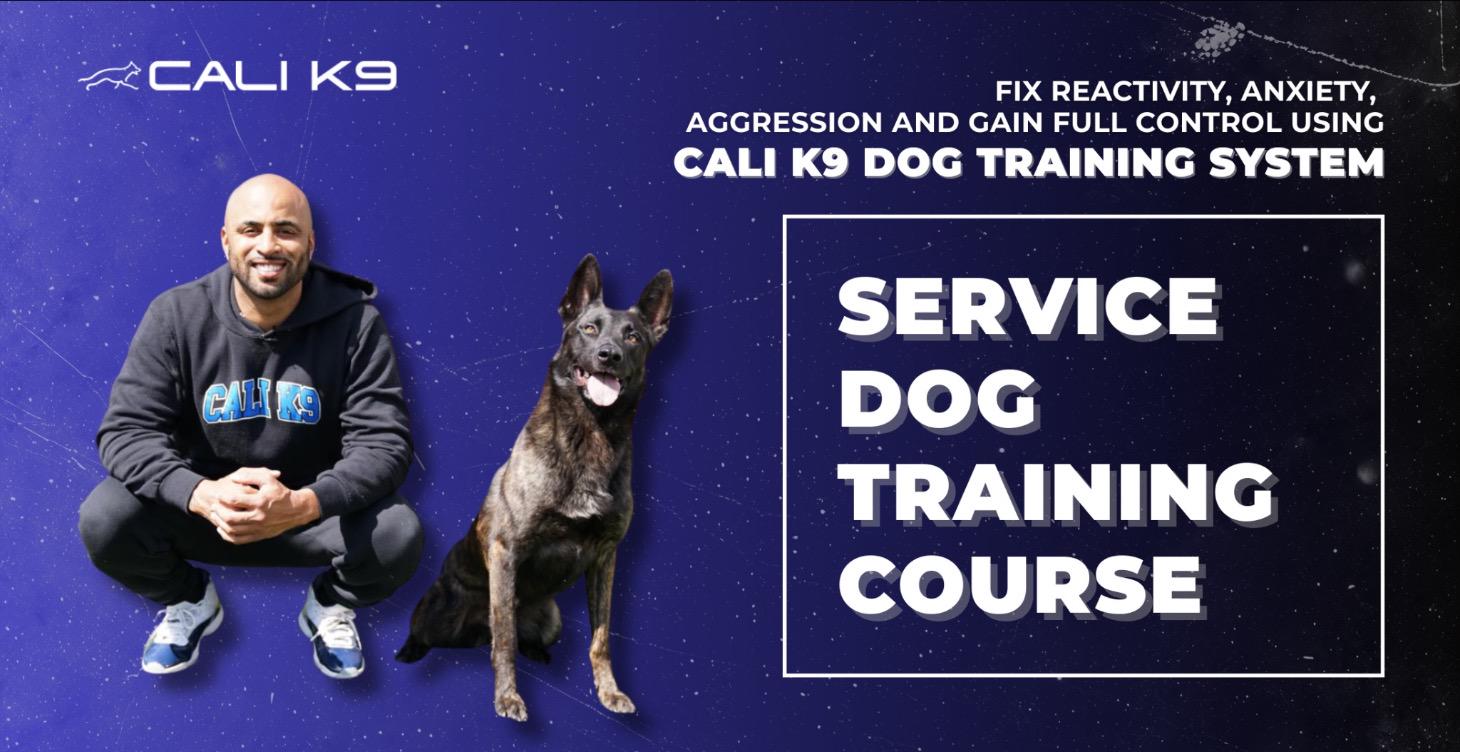 SERVICE DOG TRAINING COURSE