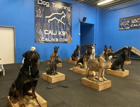 Cali K9 Dog Training  gallery image