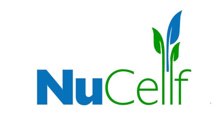 Reclaiming the Man Within