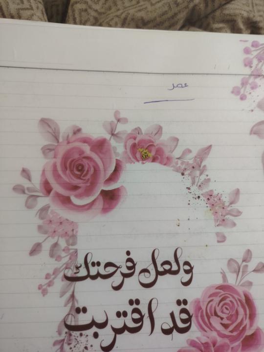 Alaa Muzamil