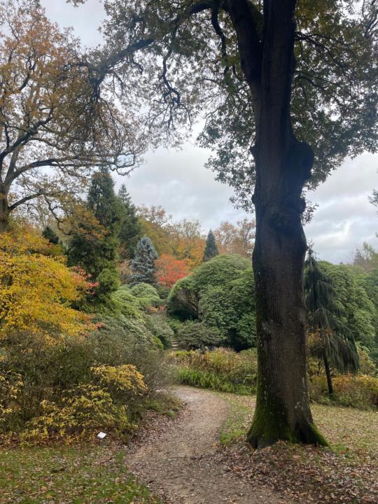 I Proposed To My Partner On Sunday