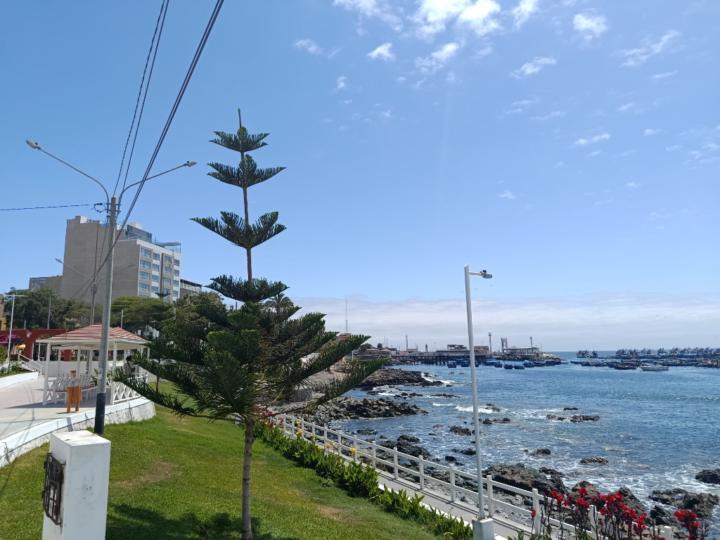 Rosemary elizabeth Crisóstomo madueño