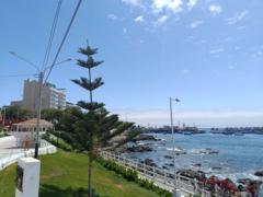 Rosemary elizabeth Crisóstomo madueño