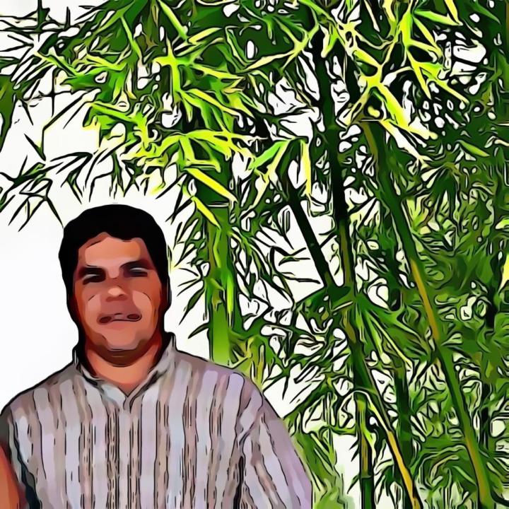 Manuel Notario