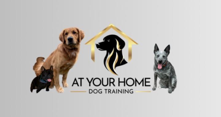 At Your Home Dog Training