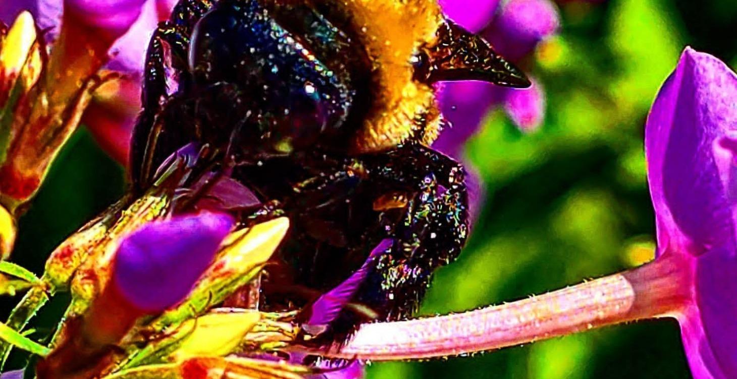 Can you post 1 beautiful thing in nature